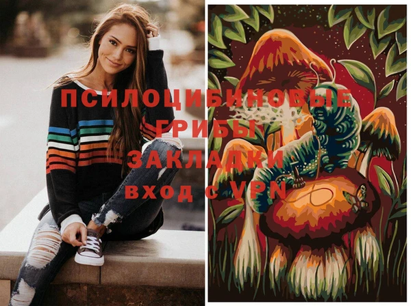 эйфоретик Богданович
