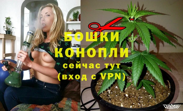 эйфоретик Богданович